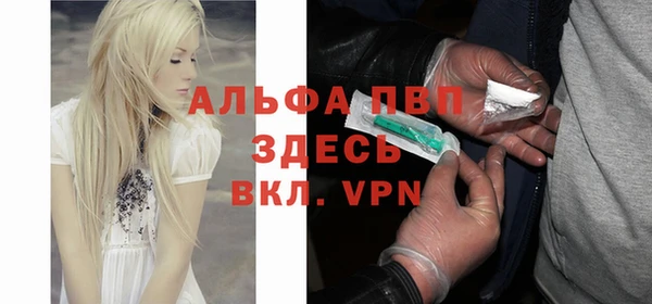 индика Балабаново