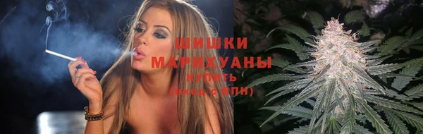 индика Балабаново