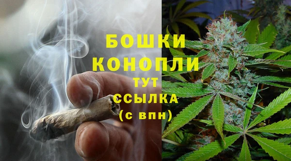стаф Баксан