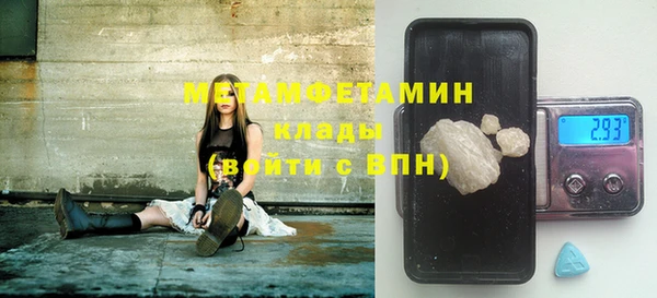 индика Балабаново