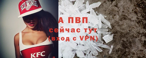 индика Балабаново