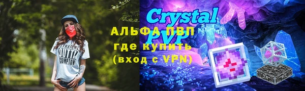 стаф Баксан