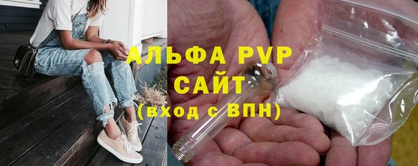 стаф Баксан