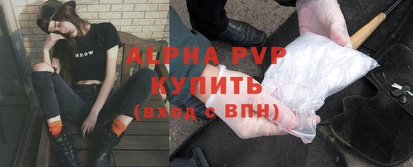 индика Балабаново