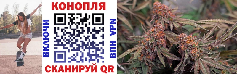 Бошки Шишки SATIVA & INDICA  купить наркоту  Петровск 